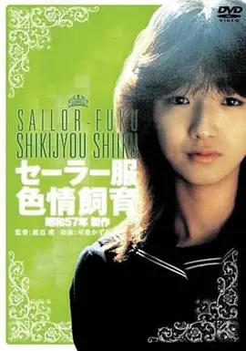 青春剧场版《晴空分岔口》免费在线观看海报